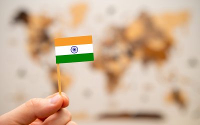 Can I Travel to India with a Criminal Record?